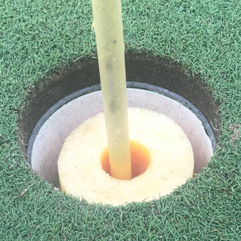 poole noodle in cup
